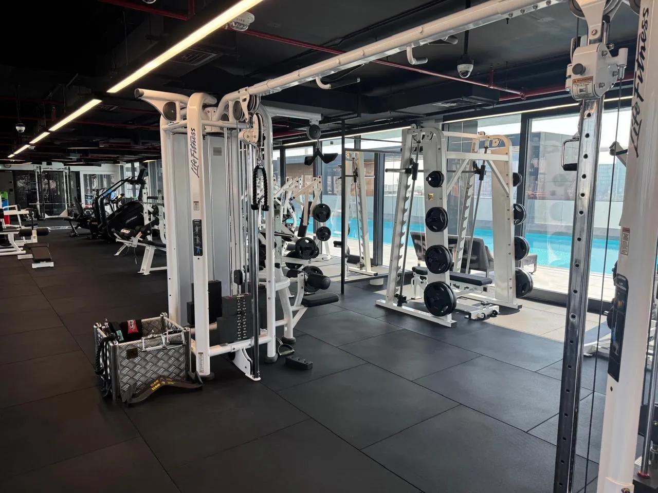 Cable and plate-loaded machines beside floor-to-ceiling windows