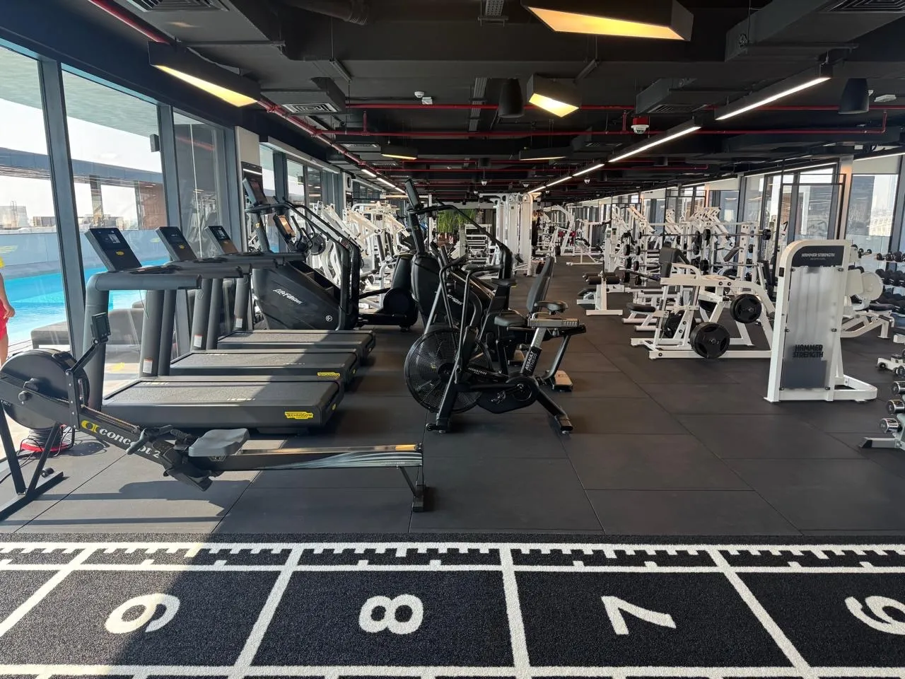 Cardio machines and the sled track