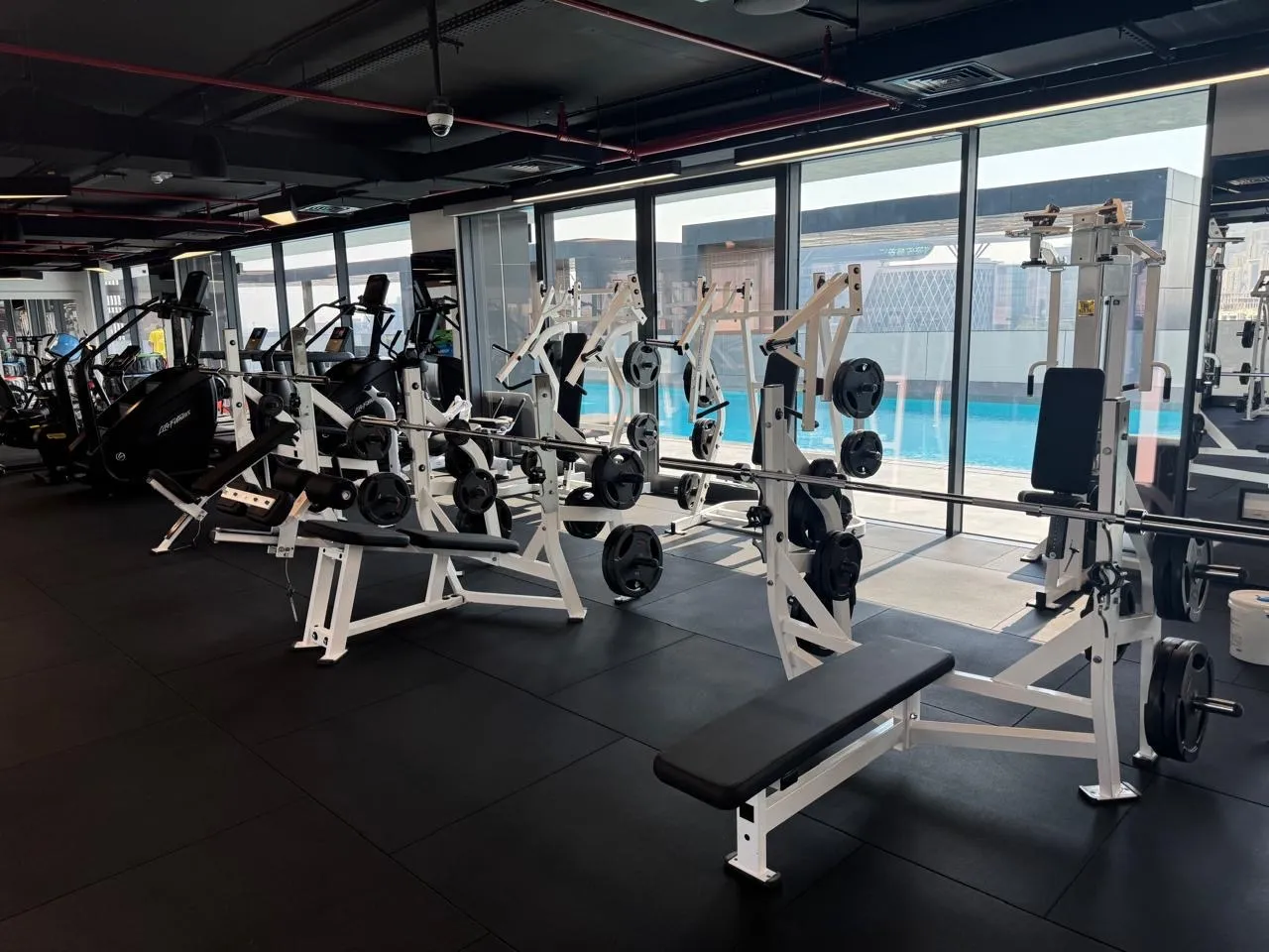Training floor with plate-loaded machines overlooking the Olympic-size swimming pool