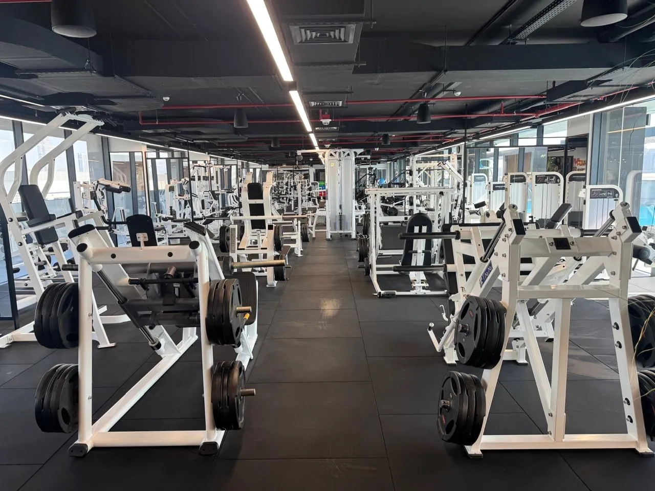 Rows of white Hammer Strength machines on the gym floor
