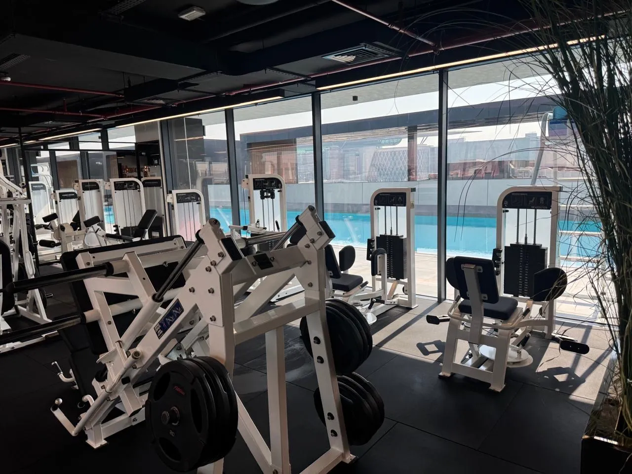 Leg machines beside the pool windows