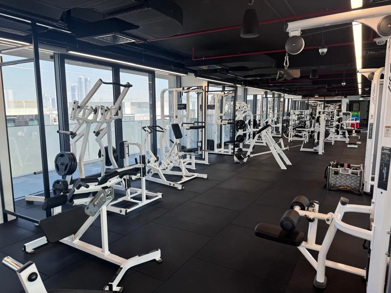 Plate-loaded stations along the training floor