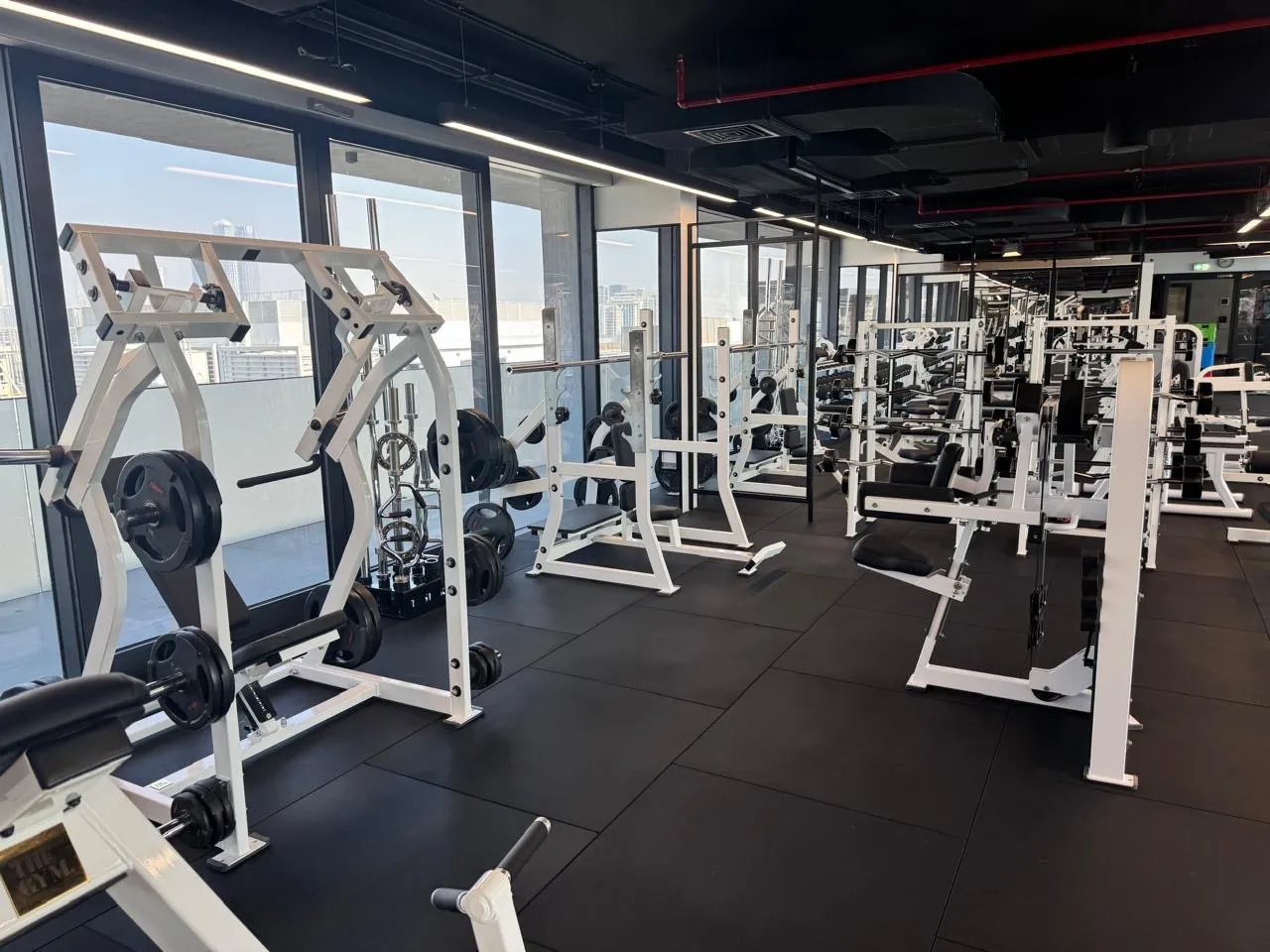 Plate-loaded machines by the windows